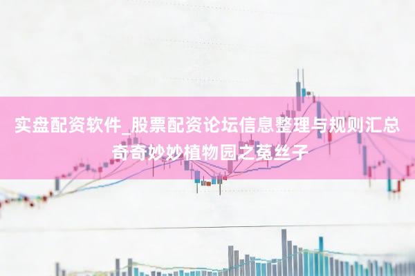 实盘配资软件_股票配资论坛信息整理与规则汇总 奇奇妙妙植物园之菟丝子