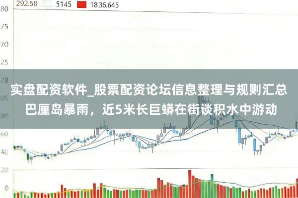 实盘配资软件_股票配资论坛信息整理与规则汇总 巴厘岛暴雨，近5米长巨蟒在街谈积水中游动